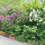 Savovi Guest house Varna